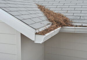 Gutter clogged with pine needles Colorado Springs