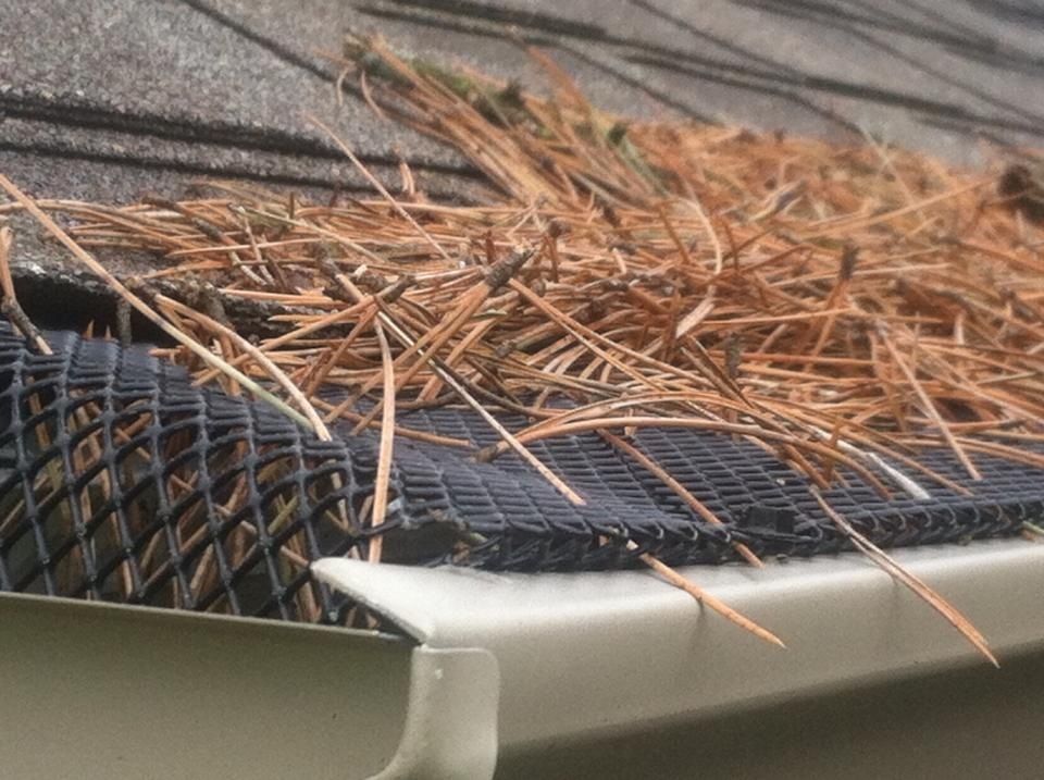 Gutter Screen Clogged with pine needles