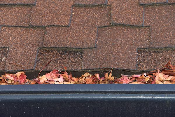 Gutter clogged with leaves. Gutter Cleaning.